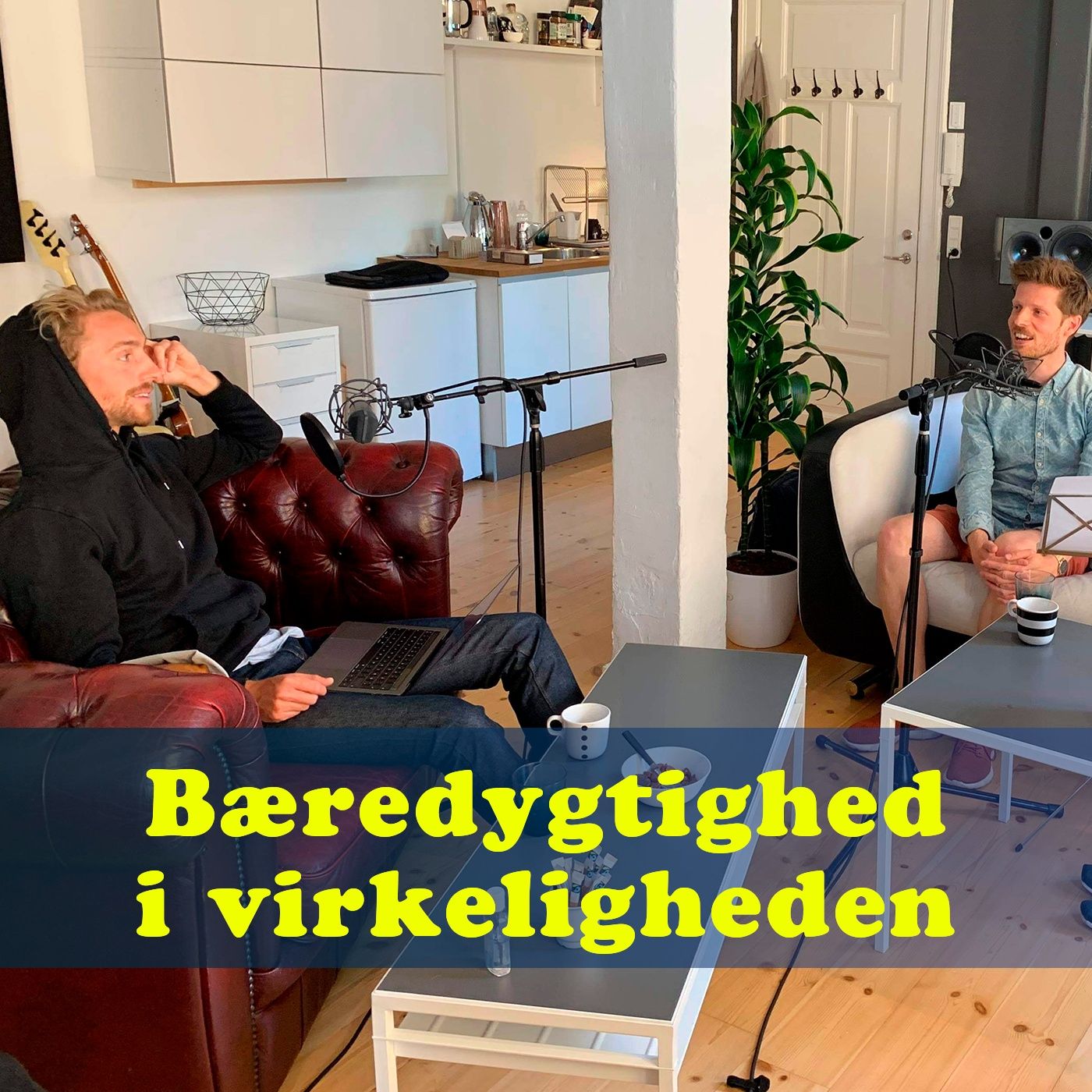 Bæredygtighed i virkeligheden