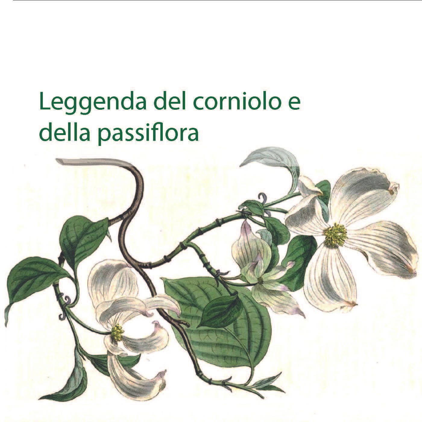 Aspettando Pasqua. Il prodigioso duello