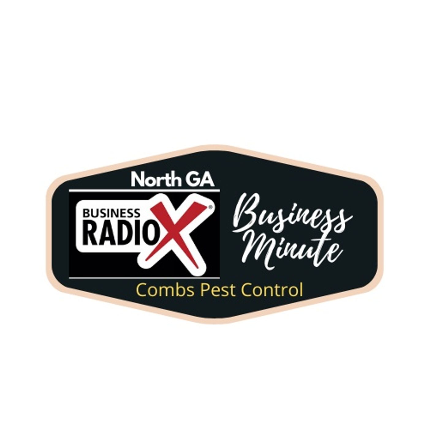 North Georgia Business Radio