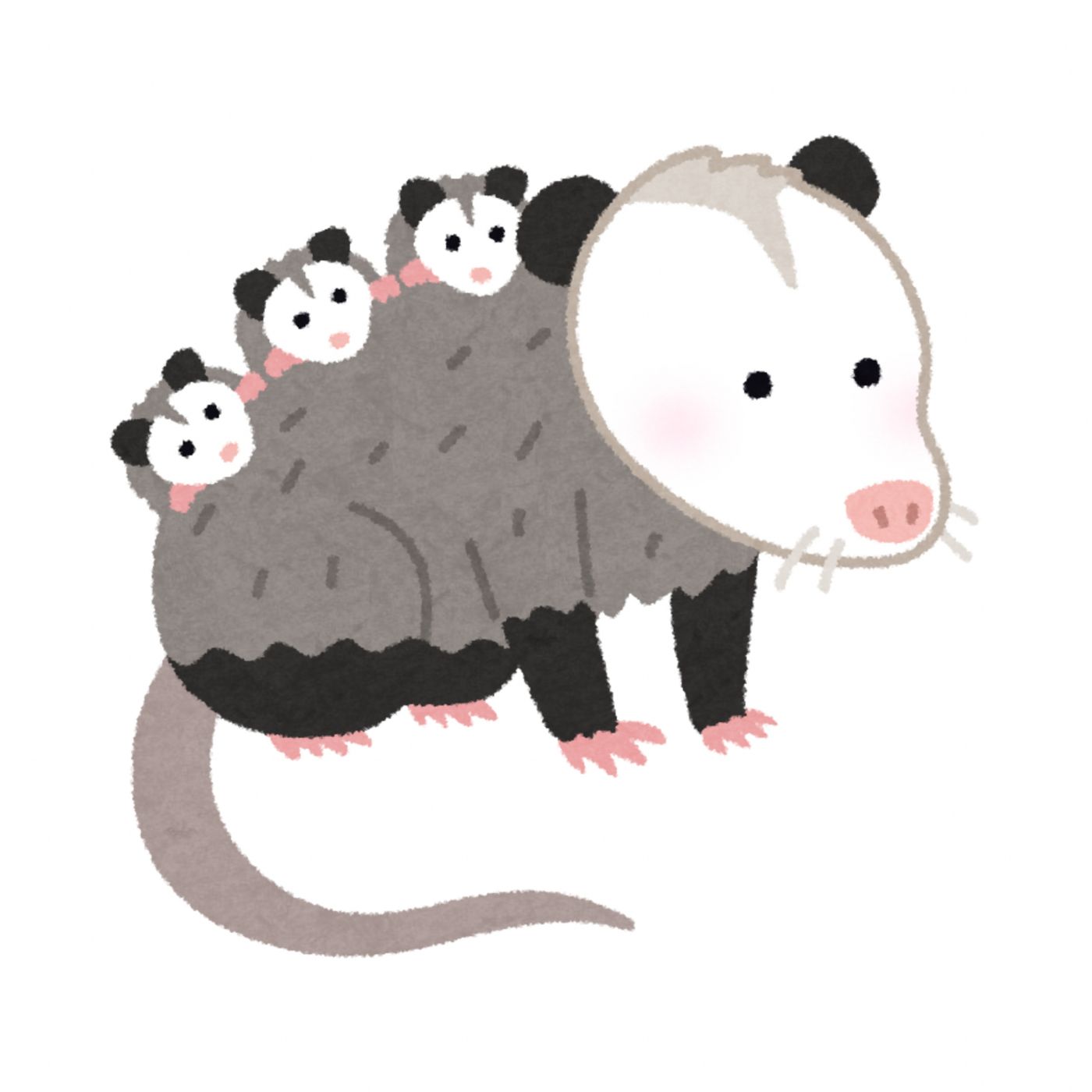 EL TLACUACHE Y EL CUERVO SABIO