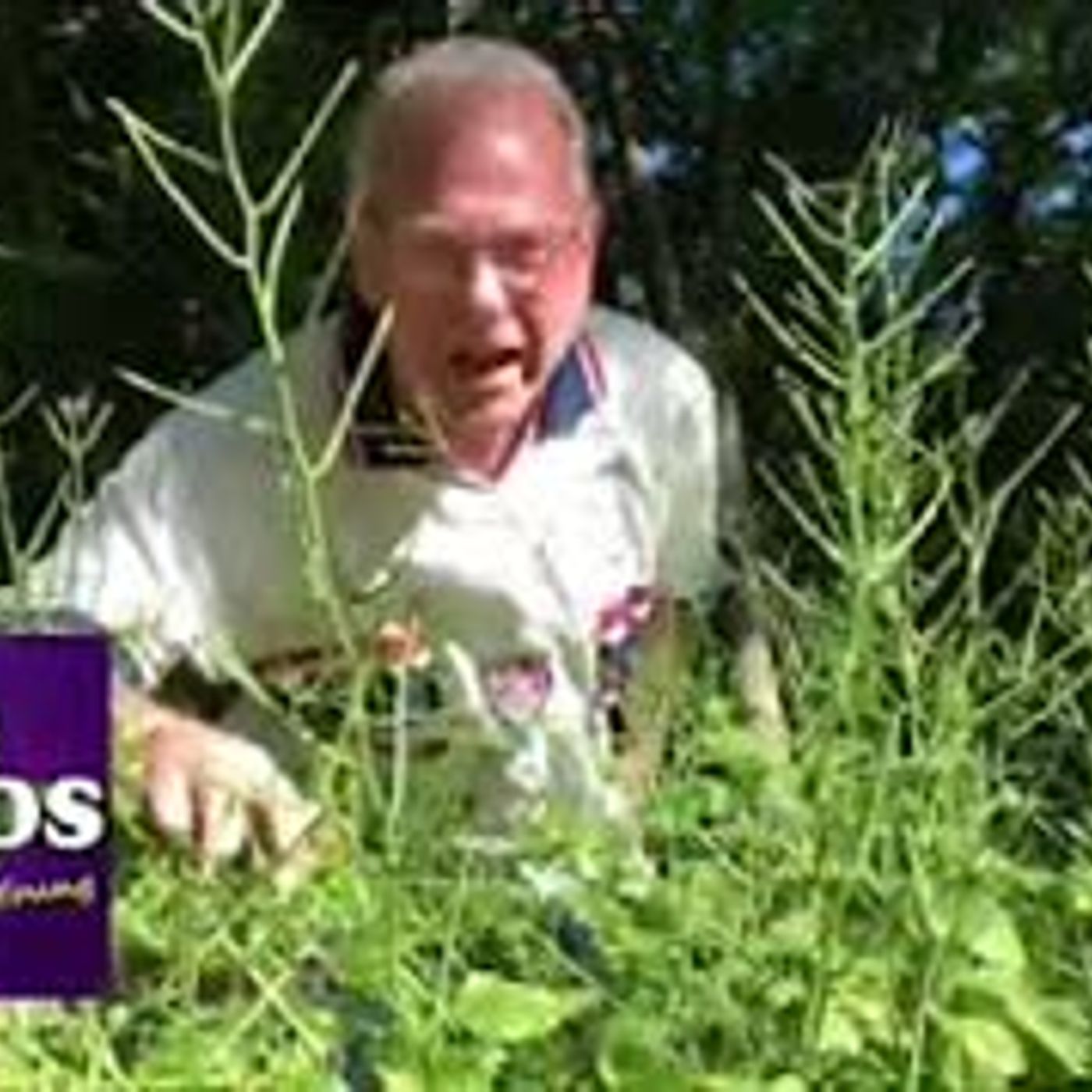 Hemp 101 host, Lance Kreck former Green Beret US Army on In The Weeds this week!