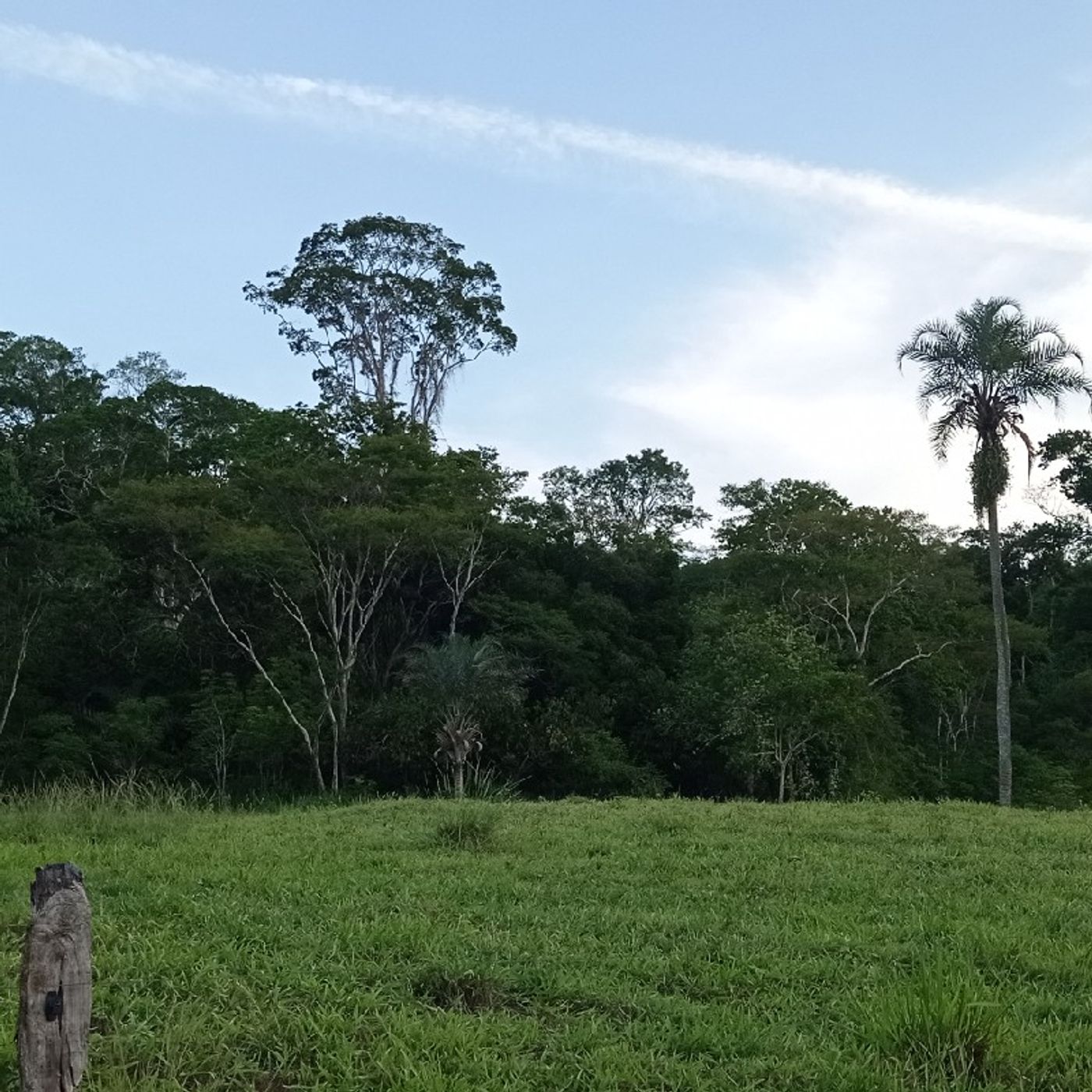 Podcast de Alex Freitas