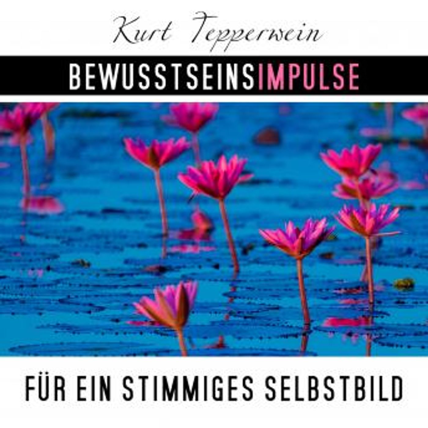 Download New Full Audiobooks in Health & Wellness, Fitness, Diet & Nutrition