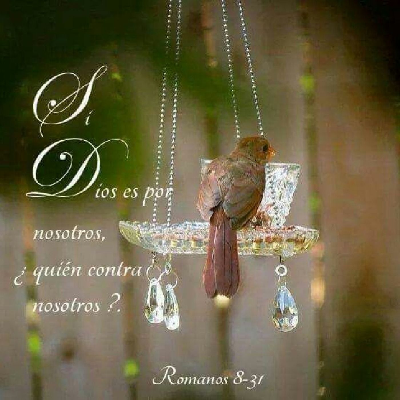 Ministerios Mas Que Vencedores\'s show