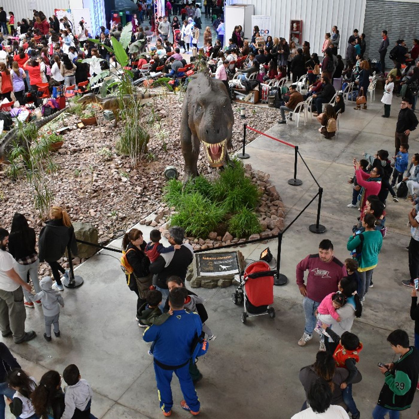 El show de Walter Gonzalez