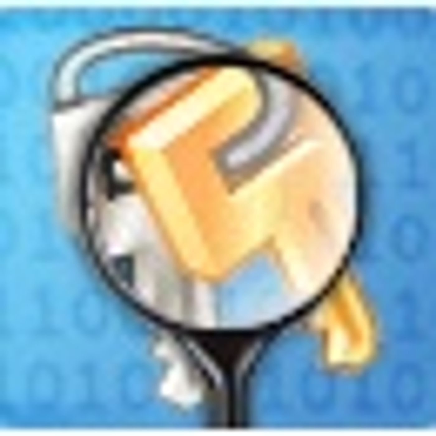 Informática Forense y Delitos Informáticos InformaticaForense.com