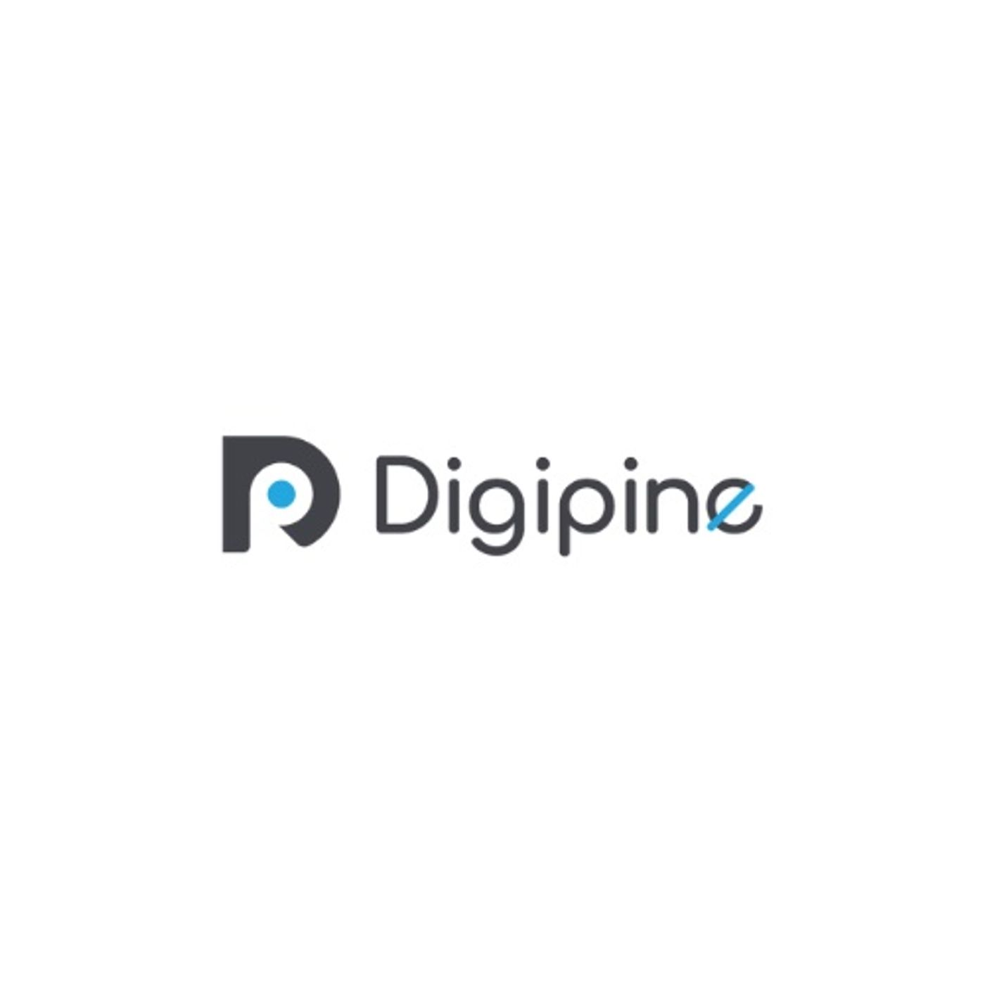 Digipine Infotech