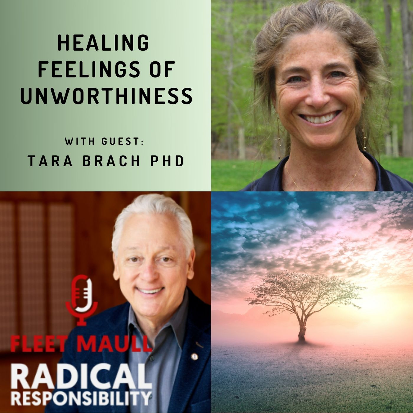 EP 105:  Healing Feelings of Unworthiness |Tara Brach PhD