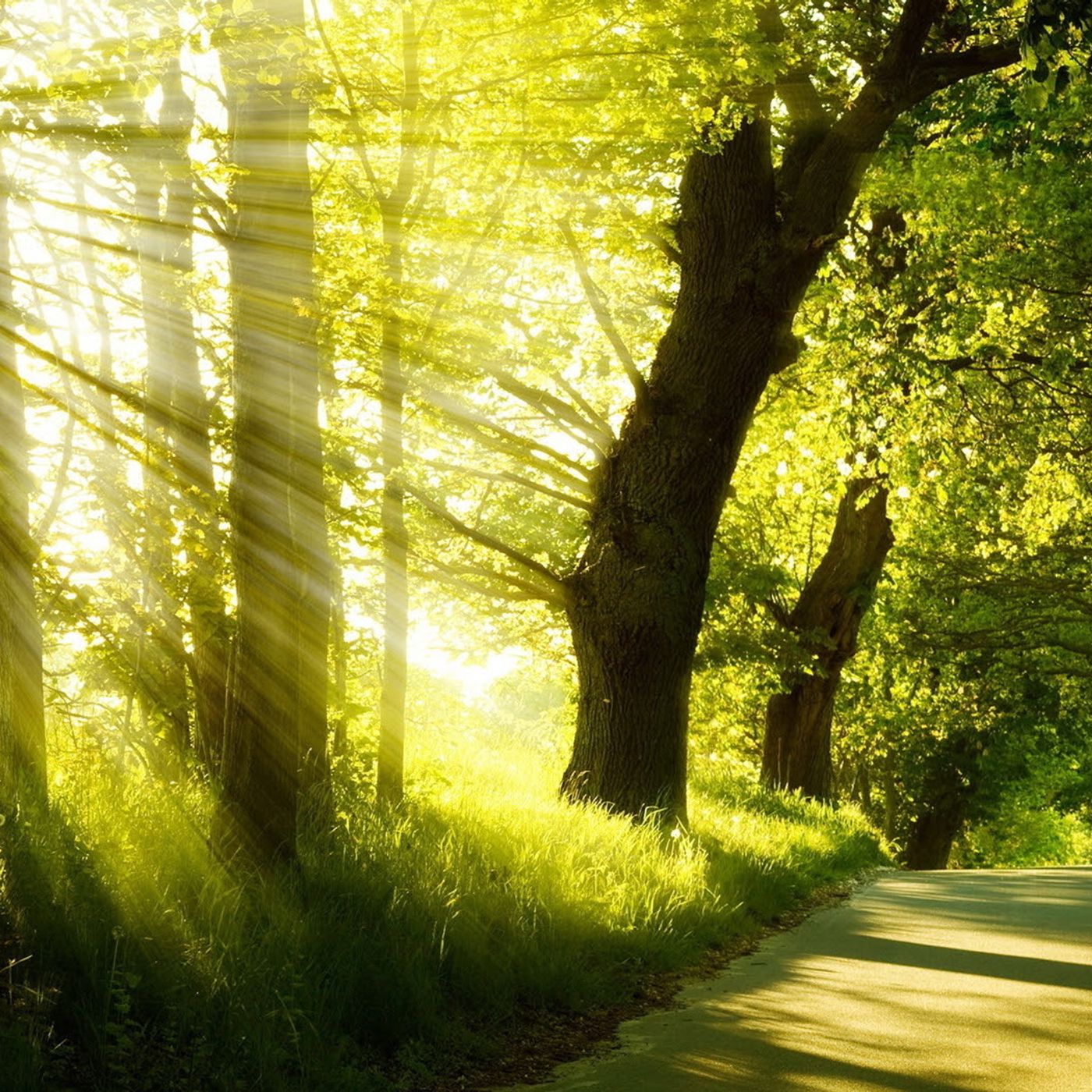 A Course in Miracles Workbook Lesson Titles