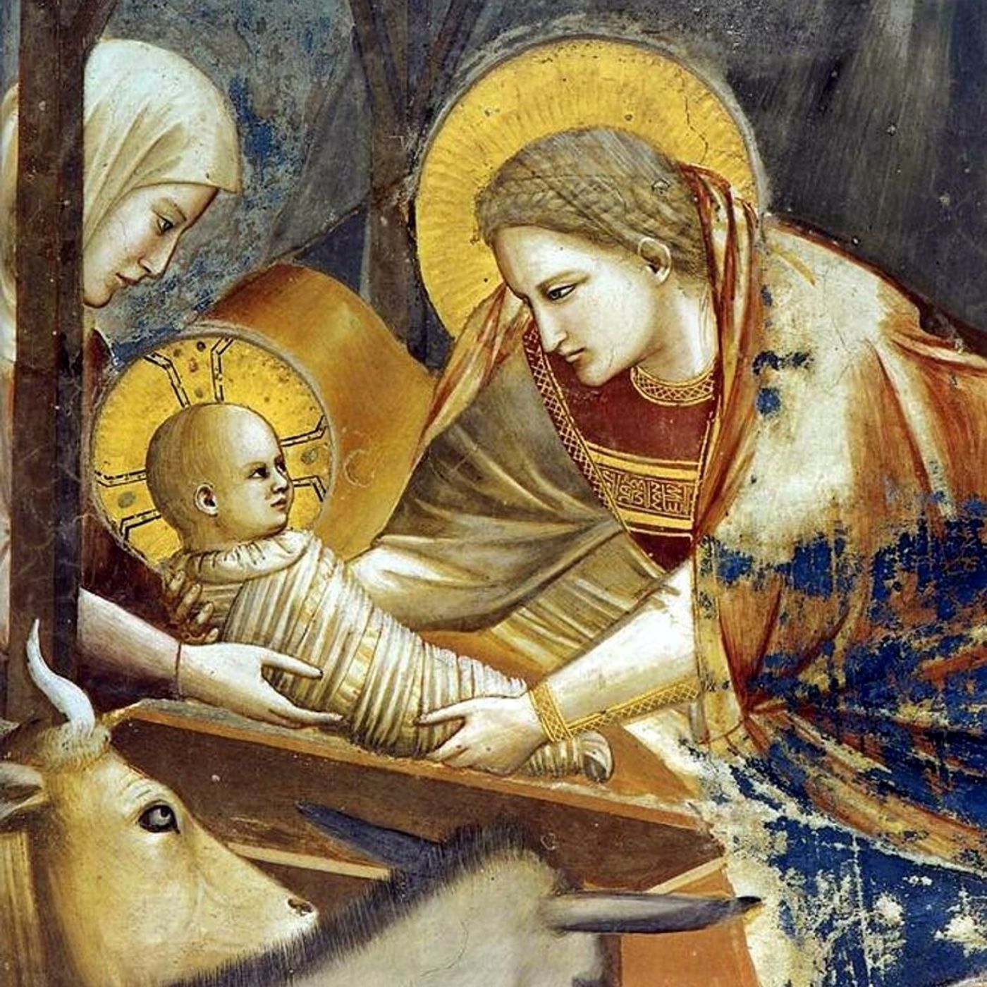 2016-12-25  S.  Natale  - Omelia del mattino episode artwork