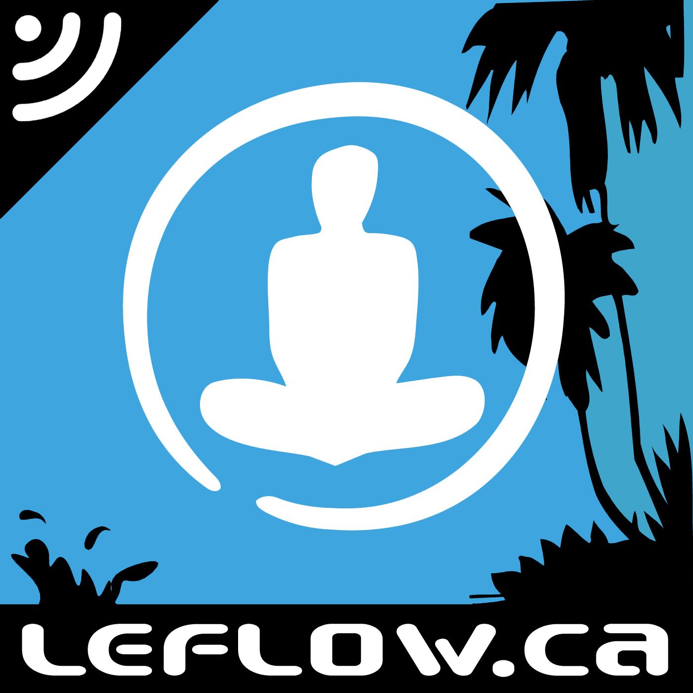 Le Flow : bien-être et performance podcast artwork