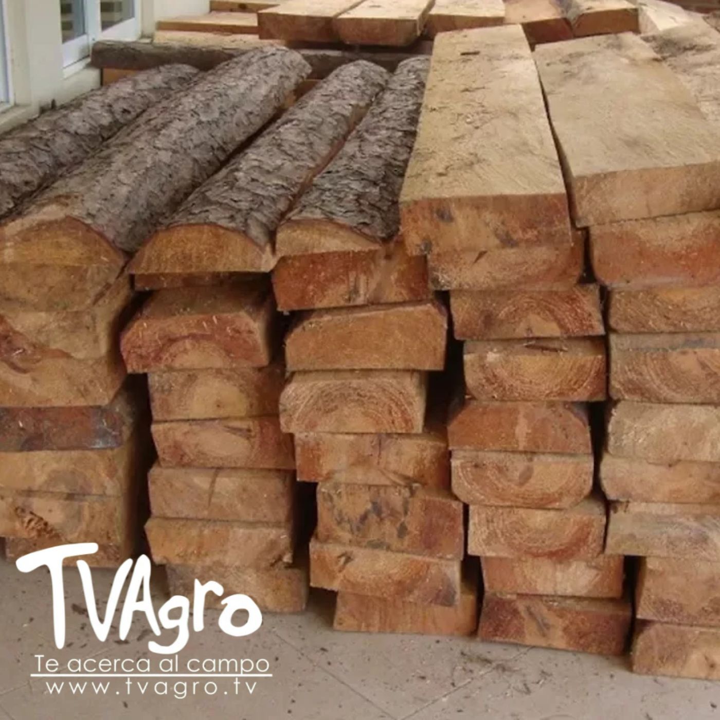 TV AGRO