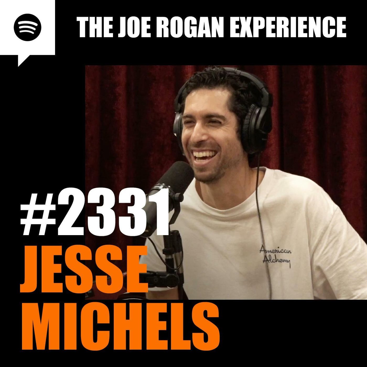 Joe Rogan Experience _2331 - Jesse Michels(M4A_128K)