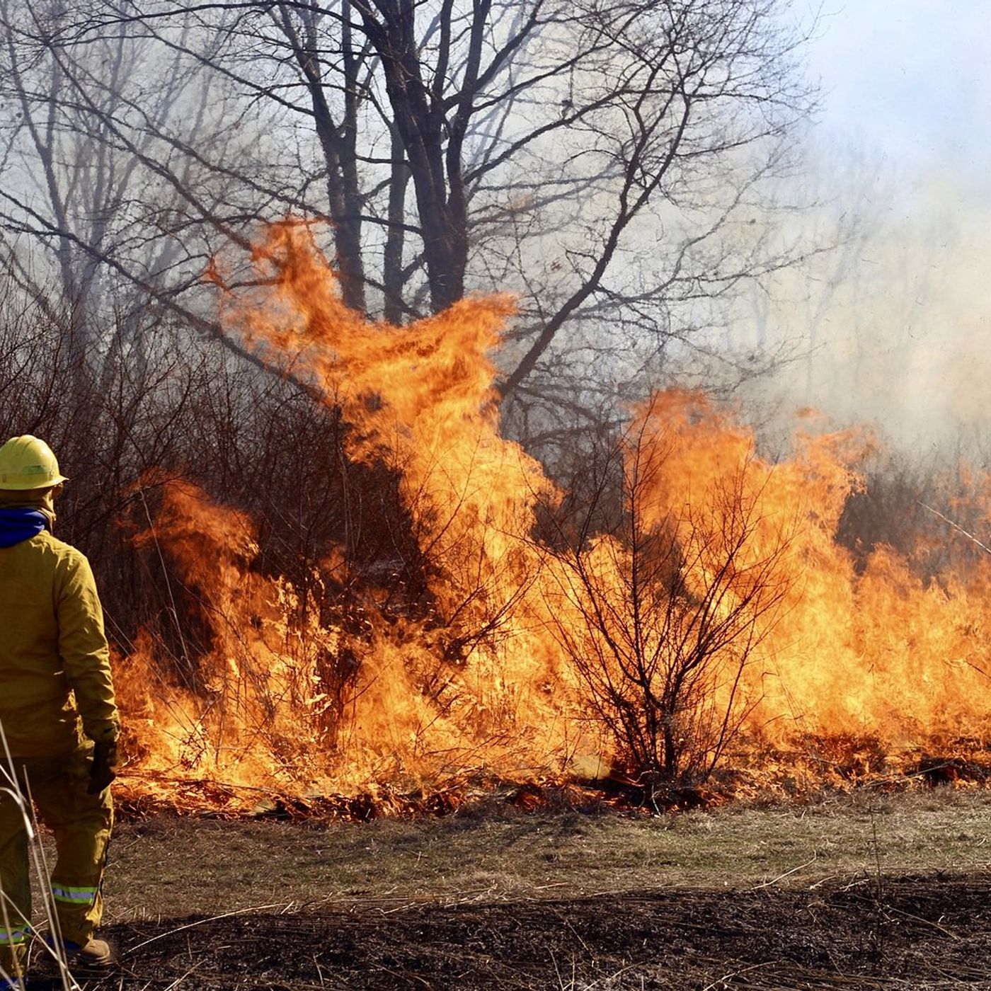 Dixon Park District’s prairie burn helps reset ecosystem episode artwork