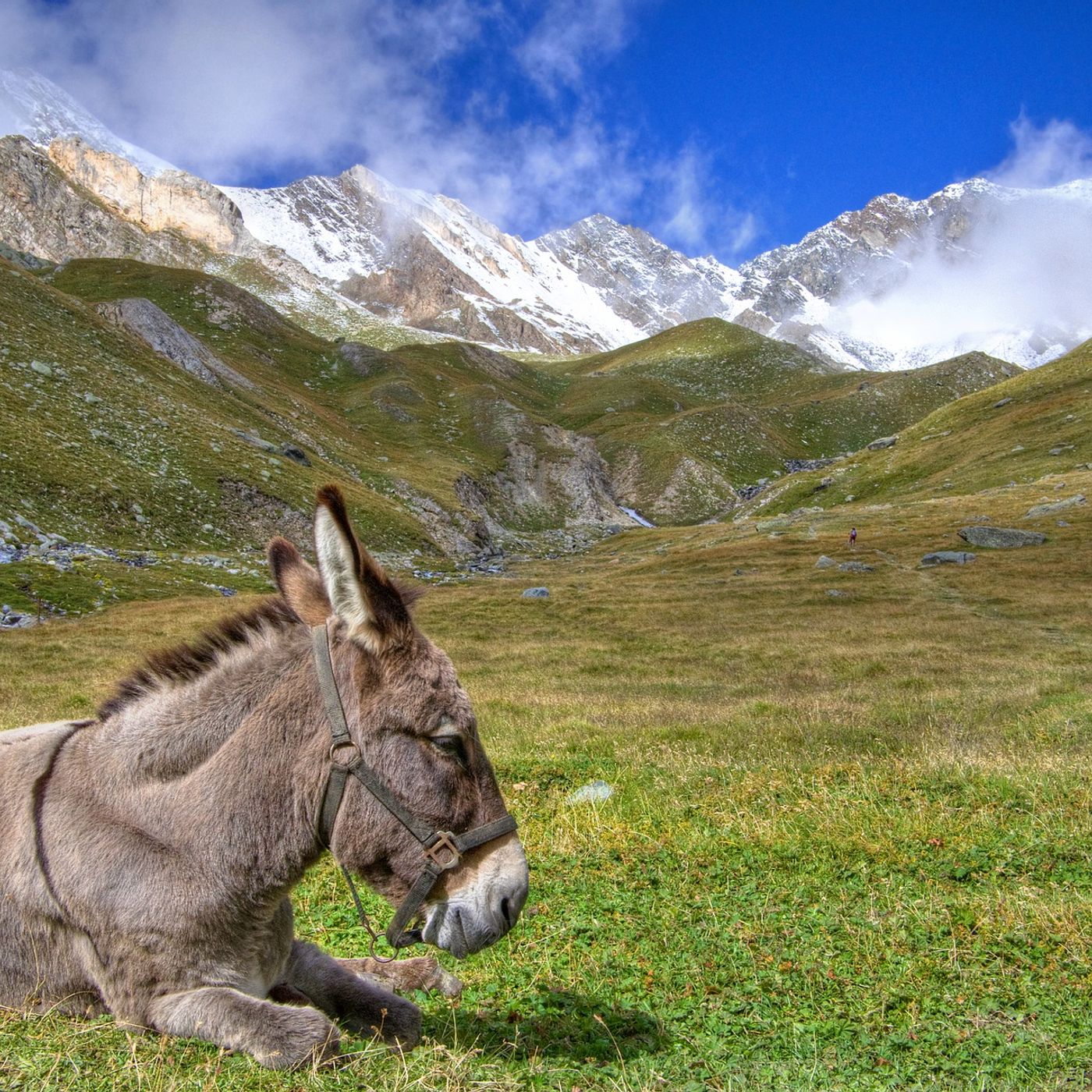 QUARESIMA: 40 giorni di sfide e di pace