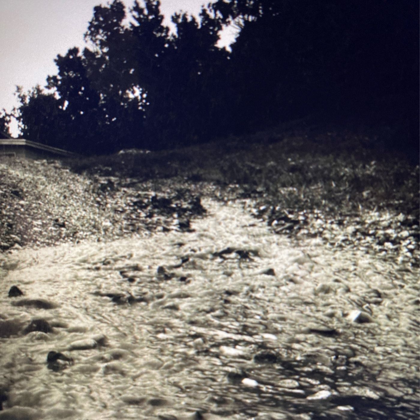 Cracked, but Unbroken