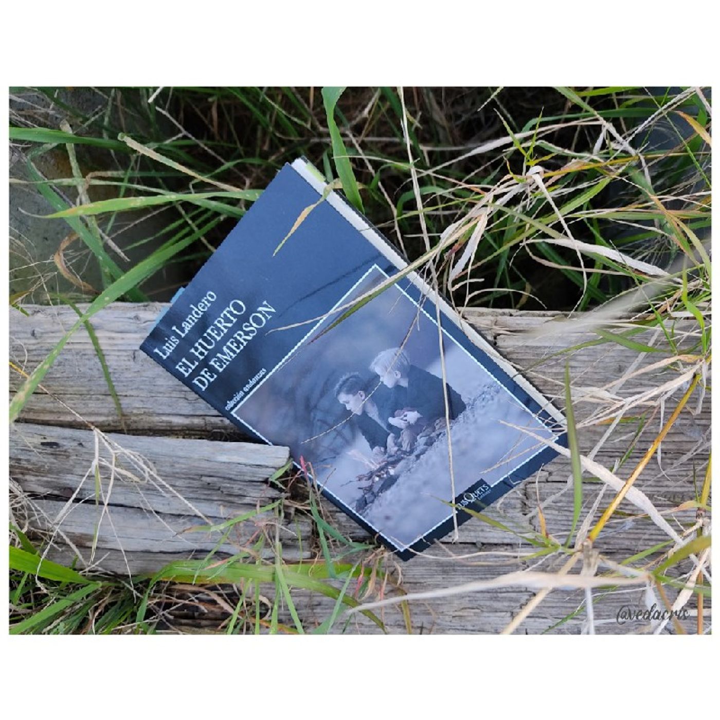 Poesía y Música
