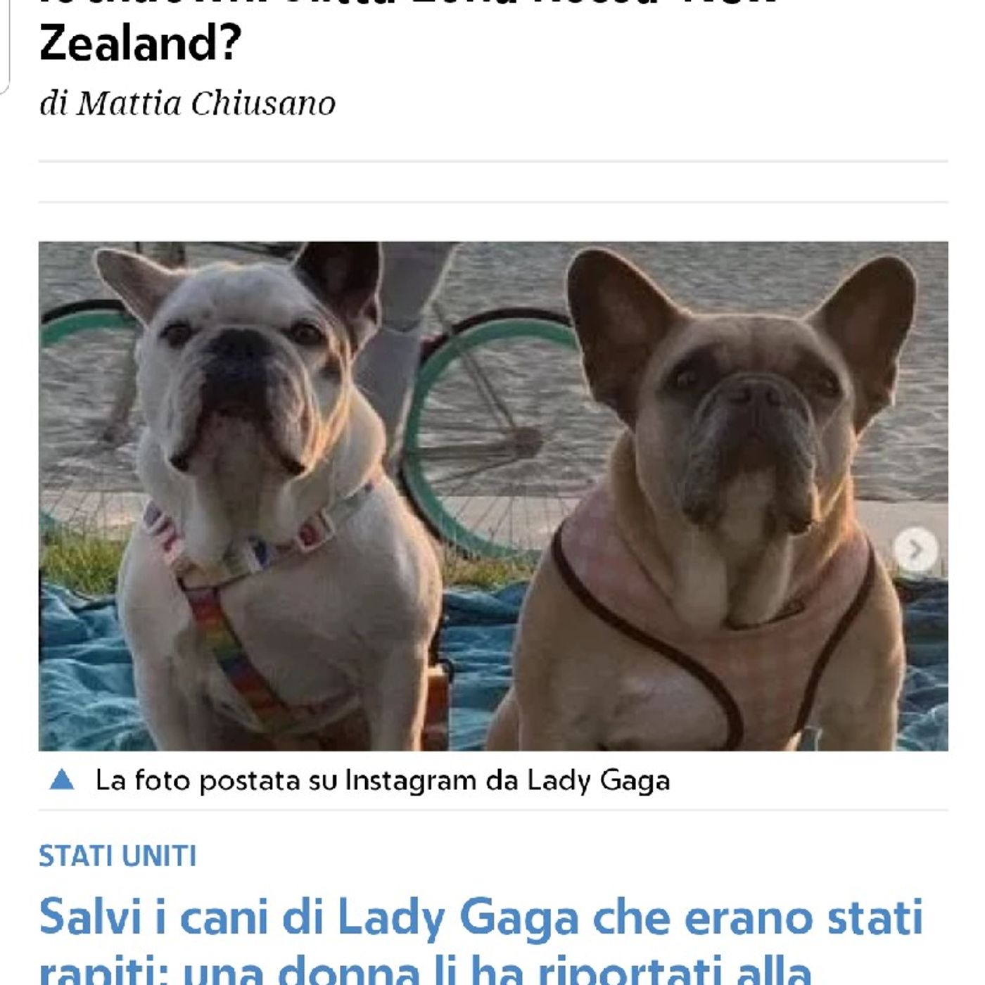 Polemiche (a volte) in allegria