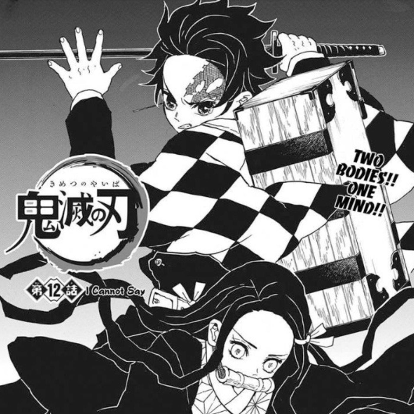 Demon Slayer Volume 2 Chapter 12 Audio Book
