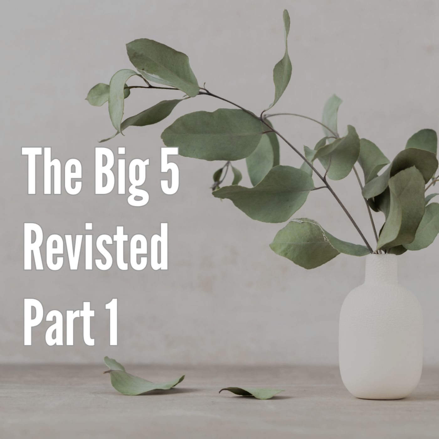 Big 5 Revisited: Unpacking Personality in the Quest for Self-Understanding