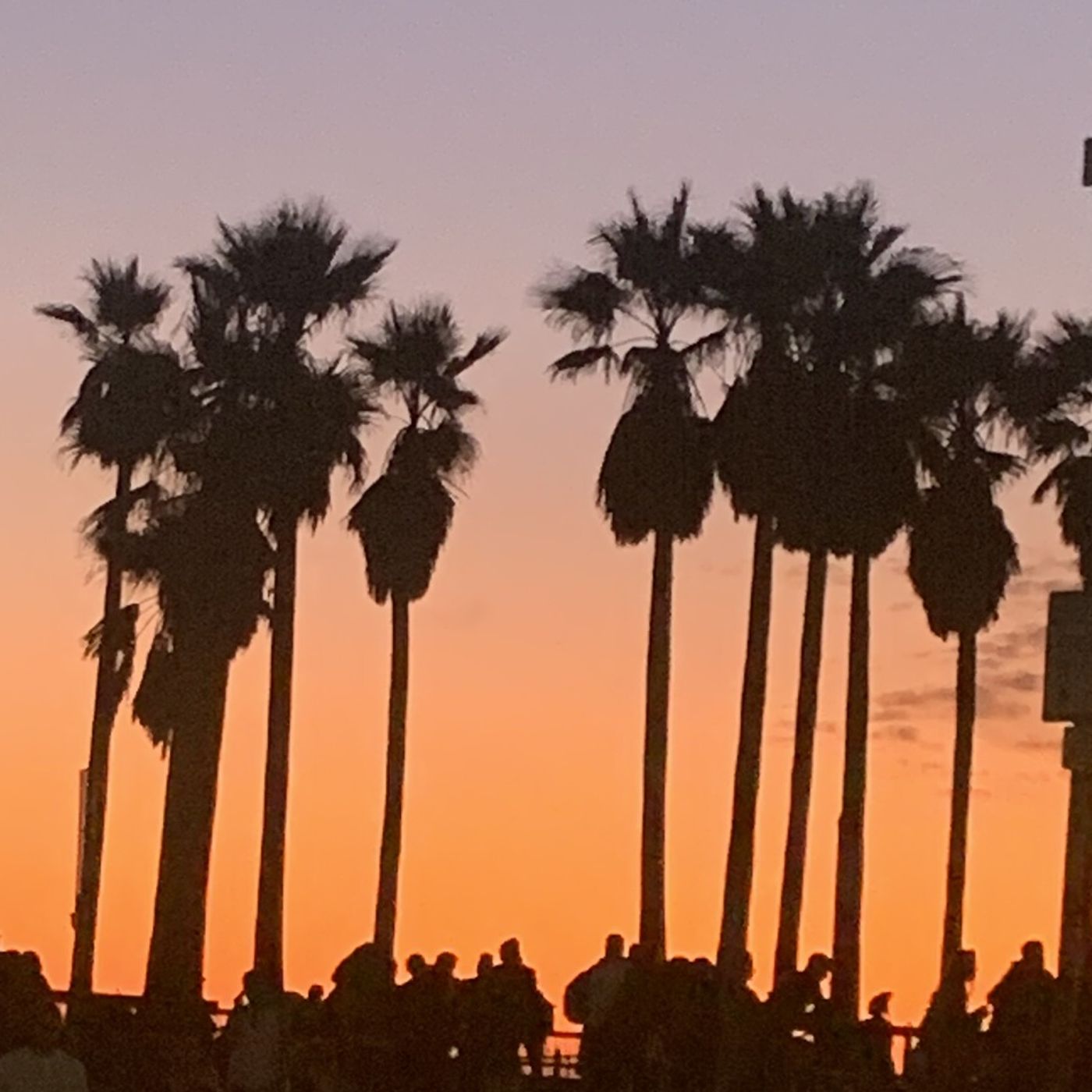 All The Single Mommas