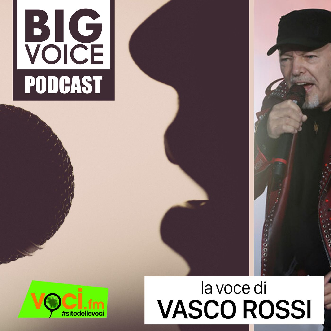 BIG VOICE PODCAST: Vasco Rossi - clicca play e ascolta il podcast episode artwork