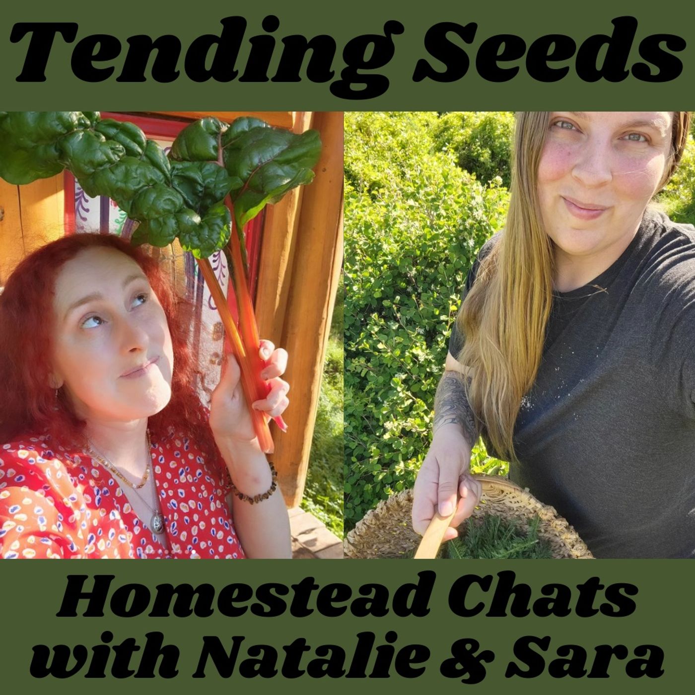 Tending Seeds: Adventures in Gardening