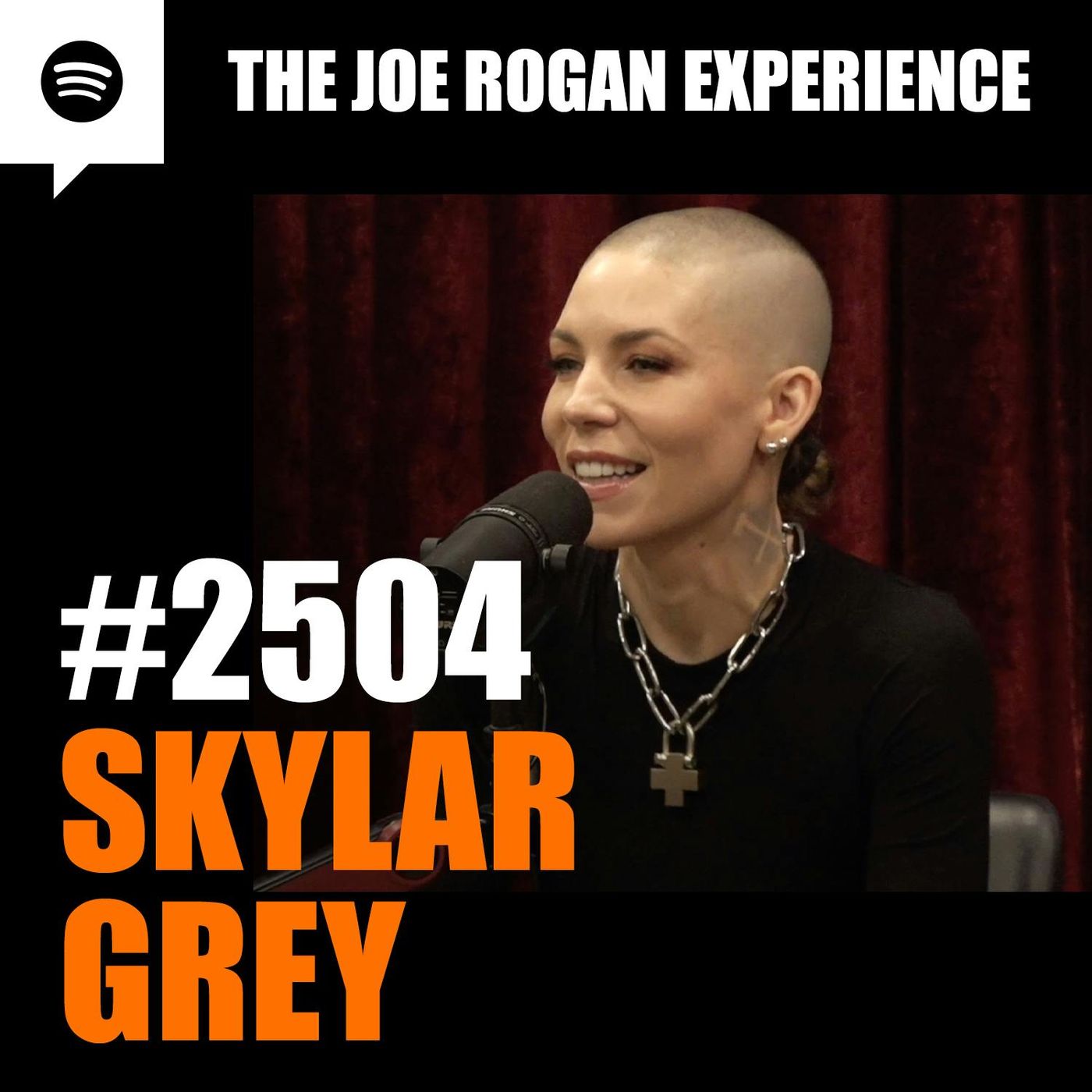 #2504 - Skylar Grey