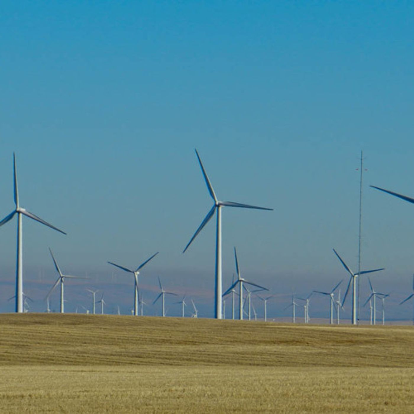 BPA Wind Power Sets New Record episode artwork