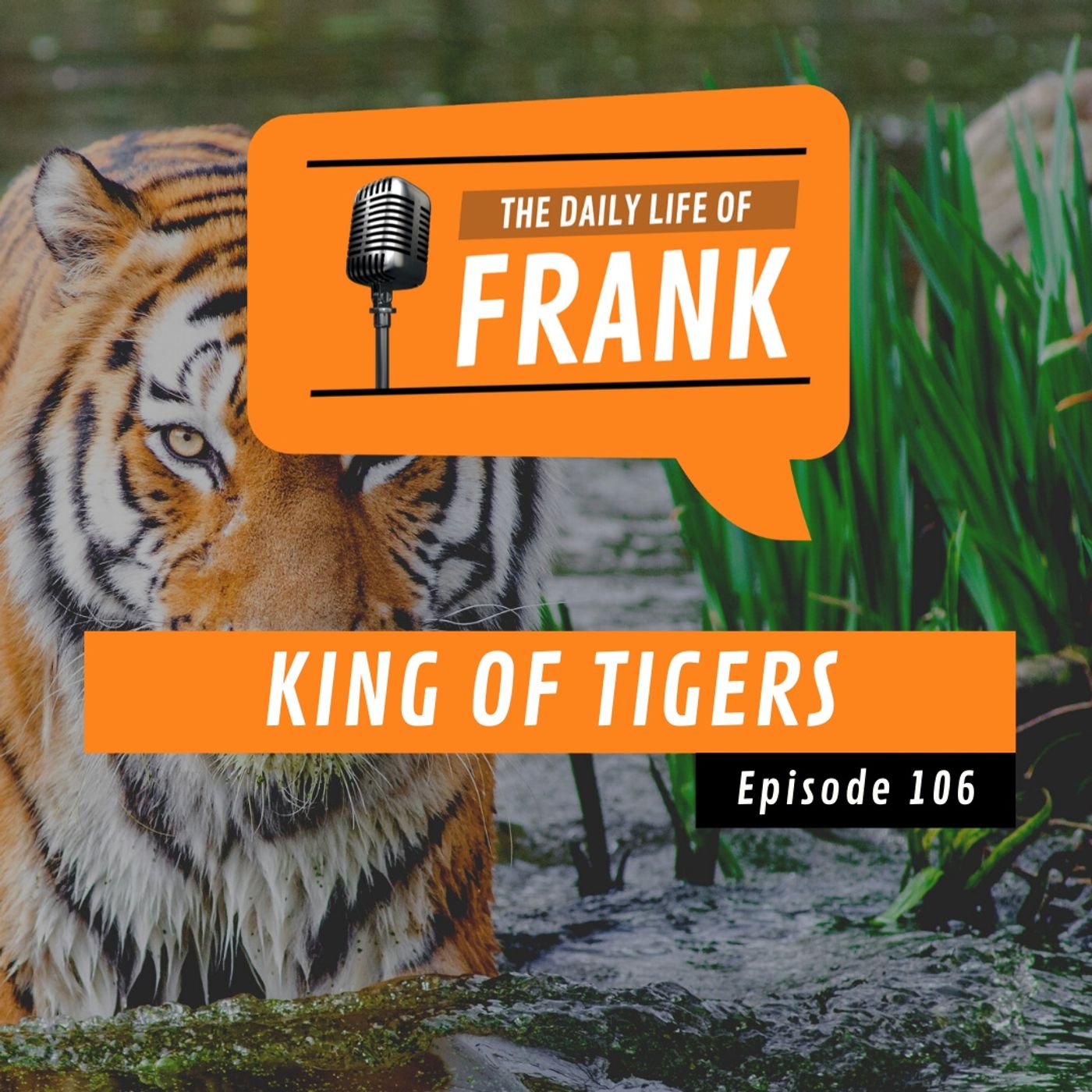 Episode 106 - King of Tigers episode artwork