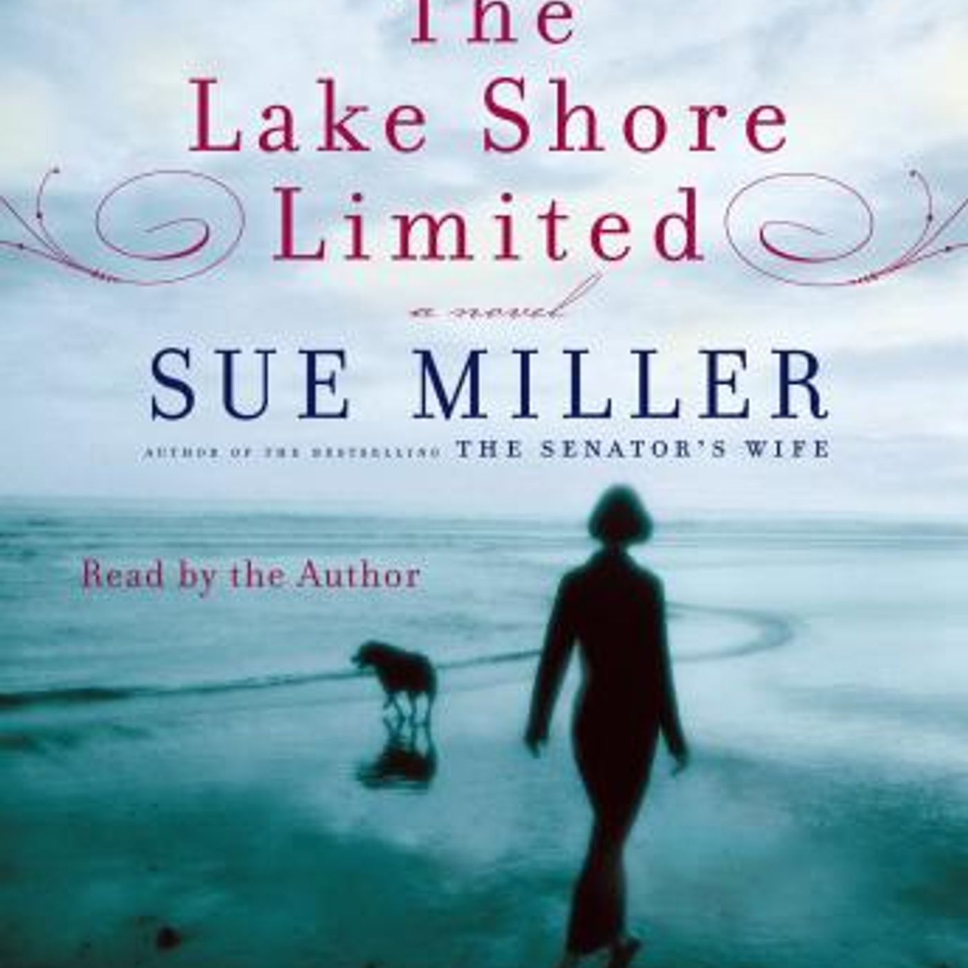 Get Top Full Audiobooks in Fiction, Contemporary Women
