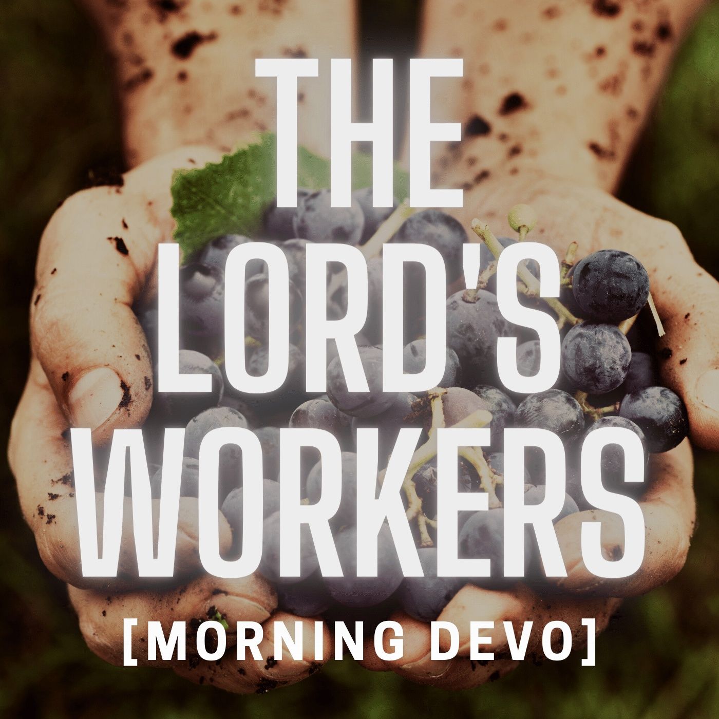 The BLAZE (Bible Study)