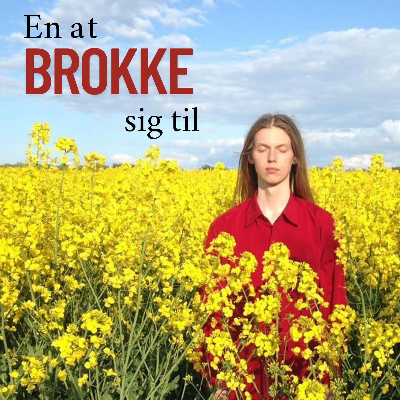 En at brokke sig til af Joachin Solvild