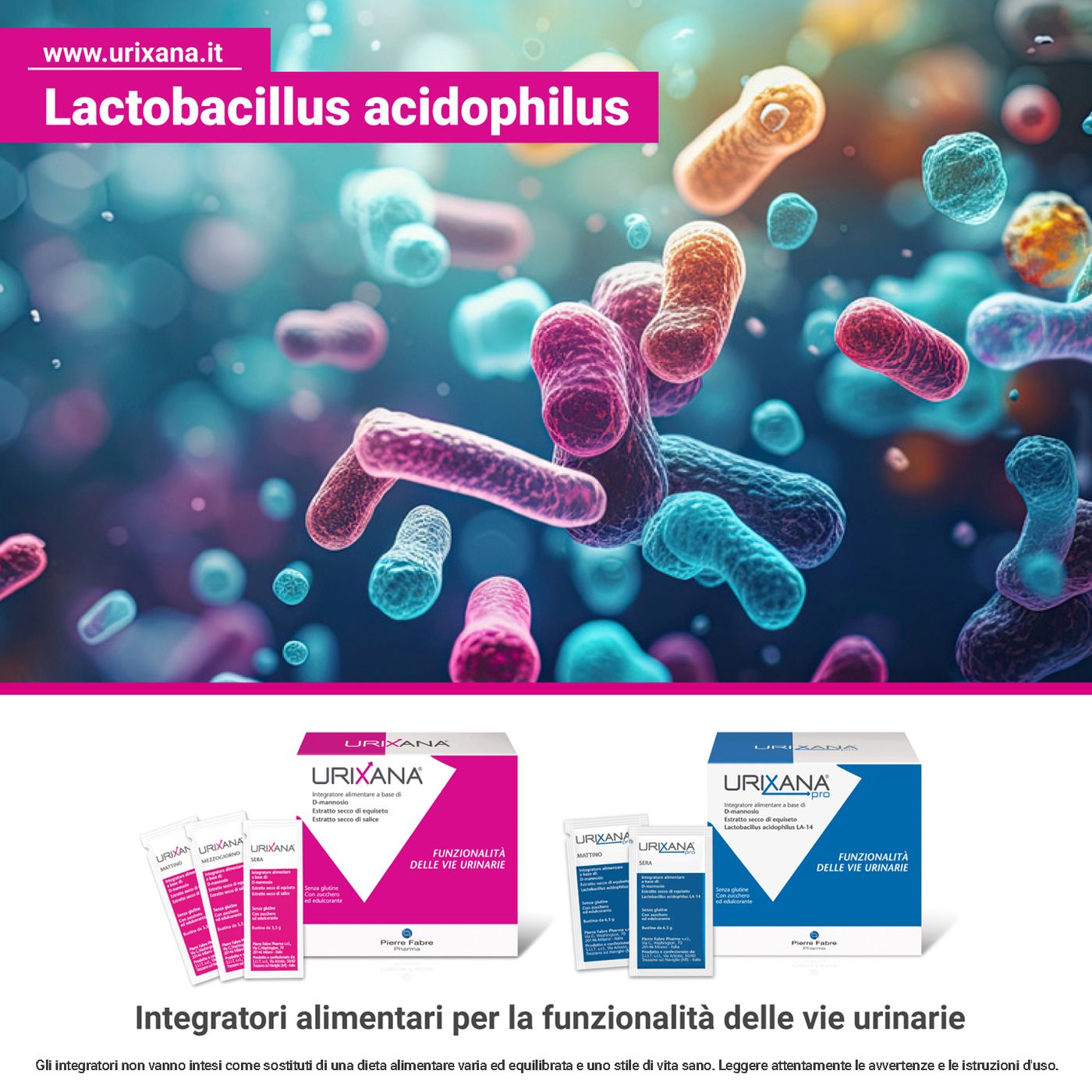 Lactobacillus acidophilus episode artwork