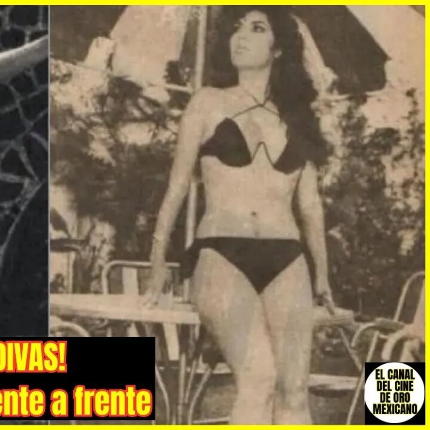 ⭐TONGOLELE vs. LA TIGRESA: disputa por MÁS BELLA⭐