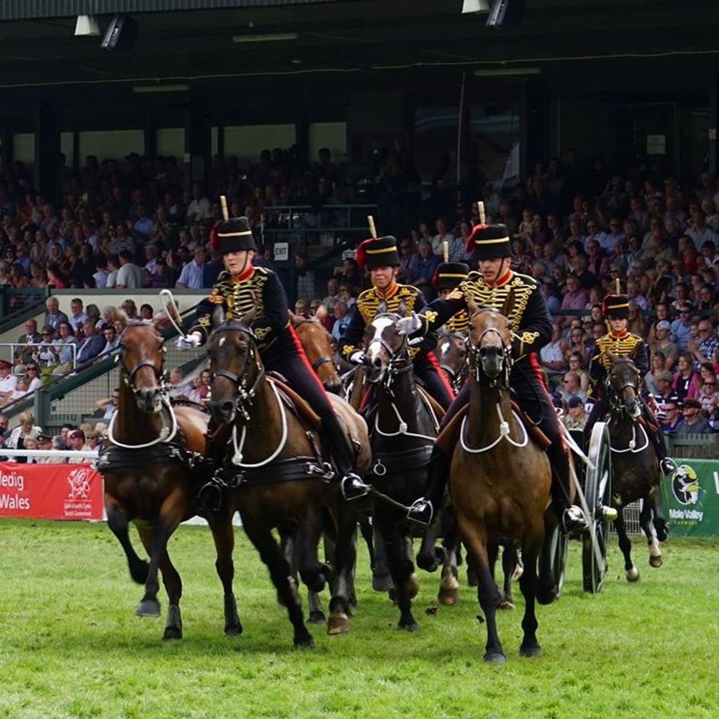 Royal Welsh