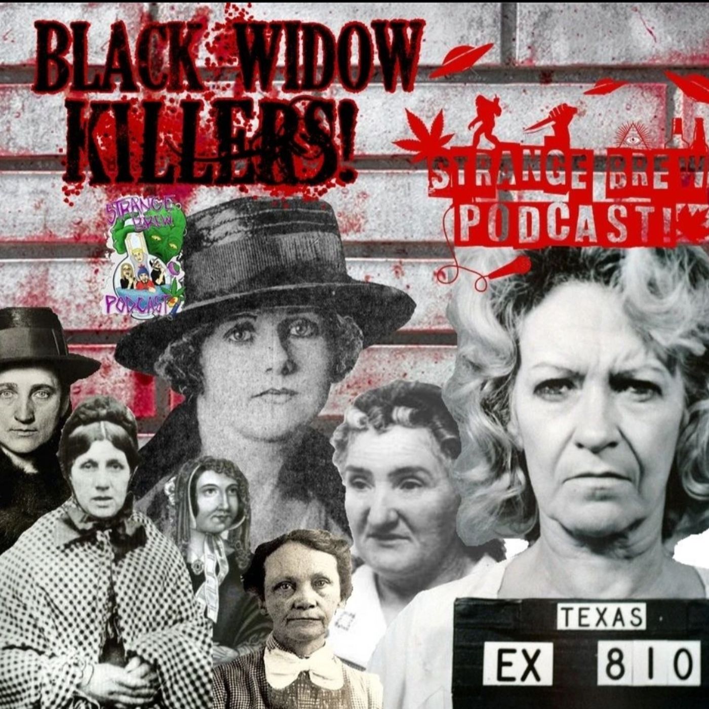 Black Widow Killers: Murderous Women!