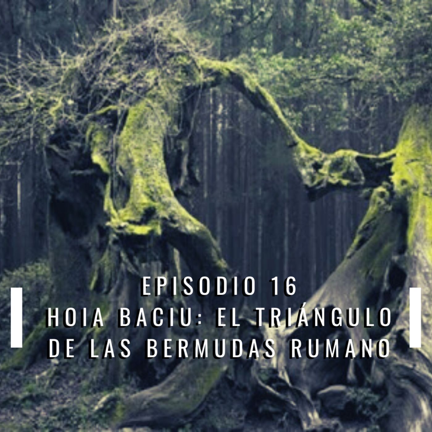 La Orden Negra