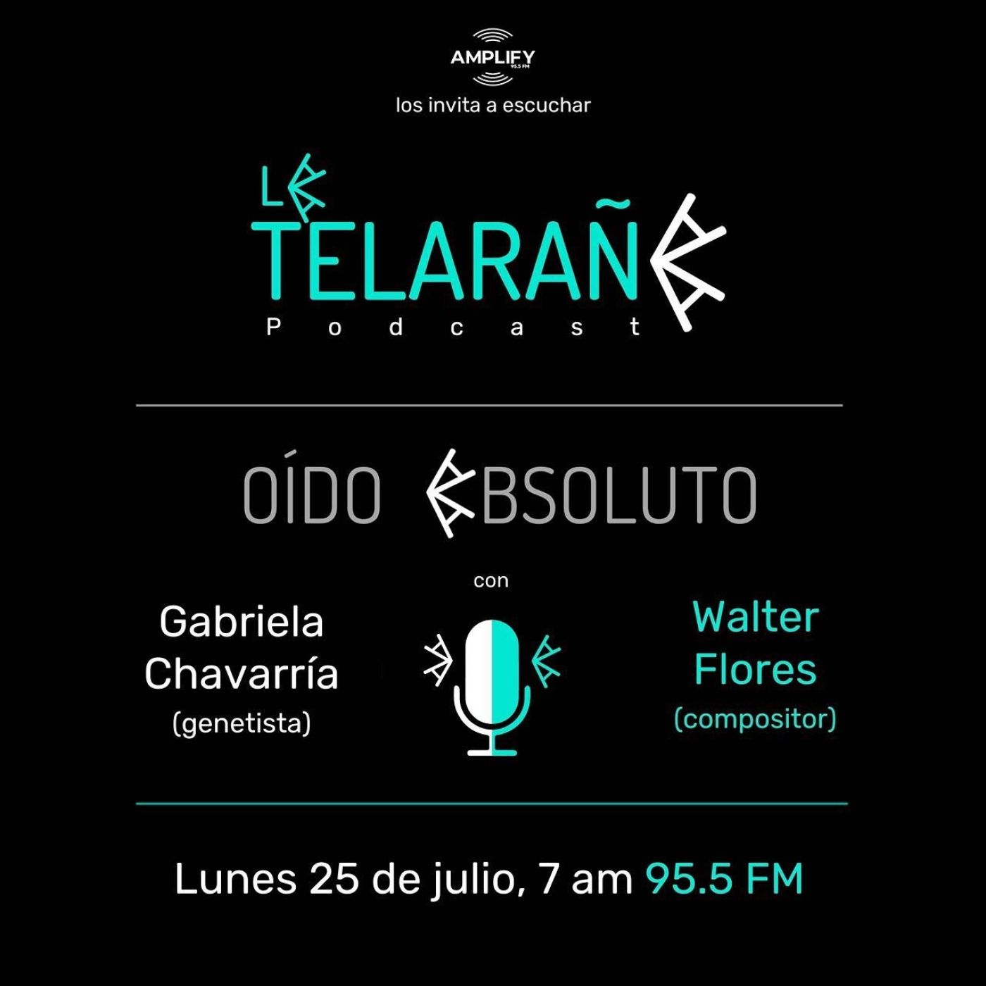 La Telaraña