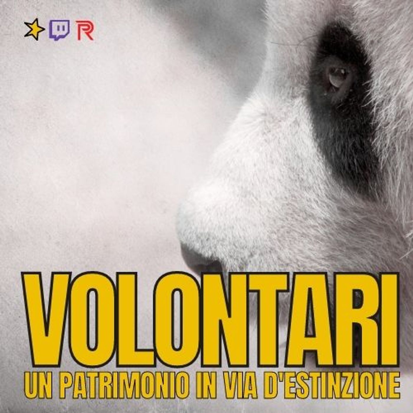 Diritto e Rovescio