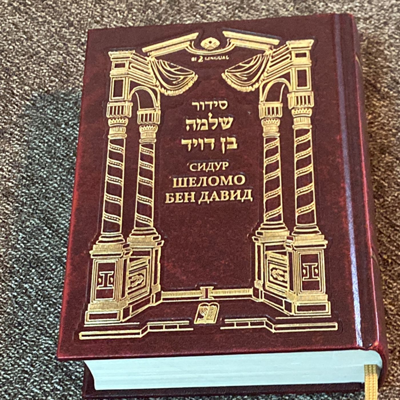 Rabbi Daniel Cohen