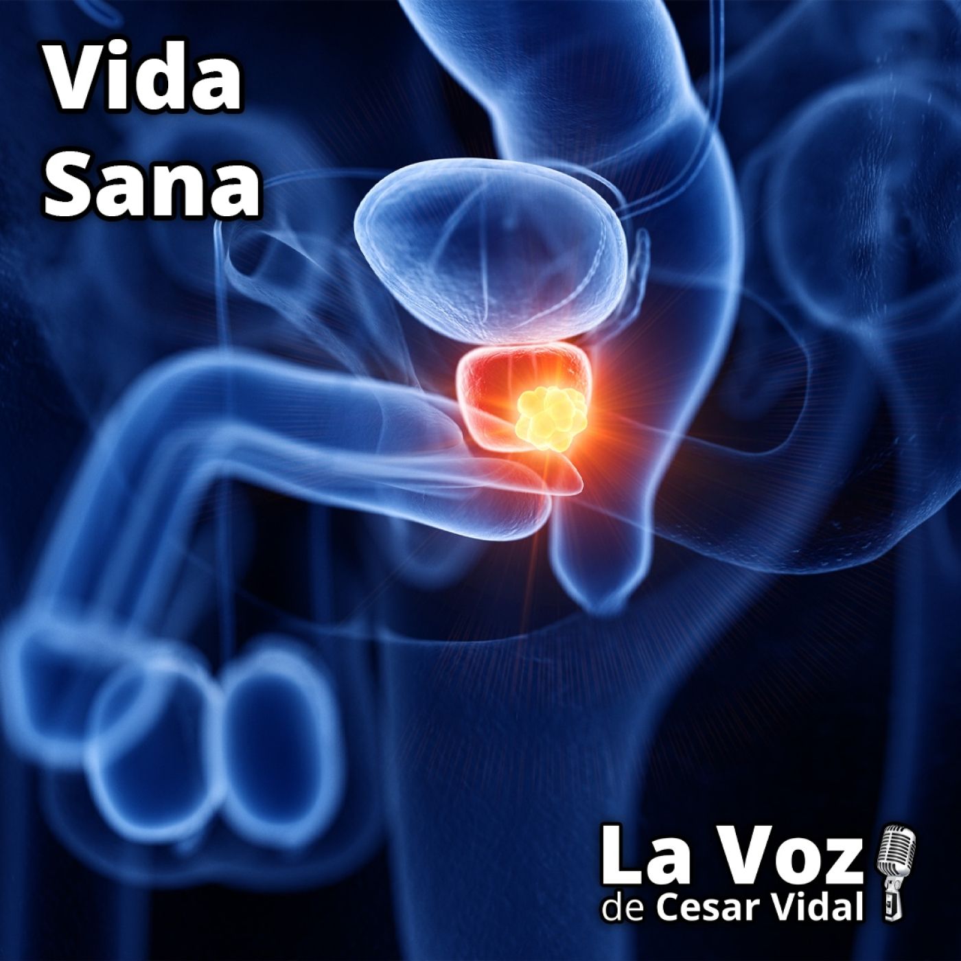 Vida Sana: La salud de su próstata (1) - 24/09/25 episode artwork