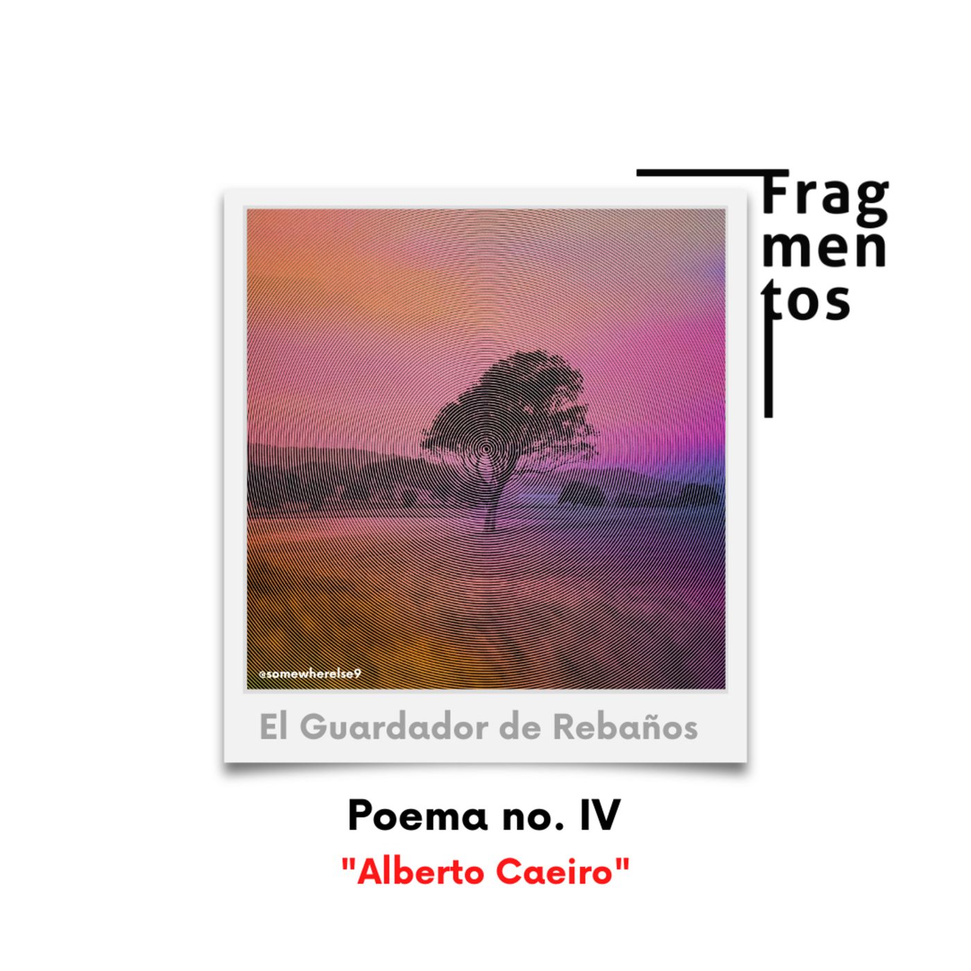 Fragmentos de Poesía
