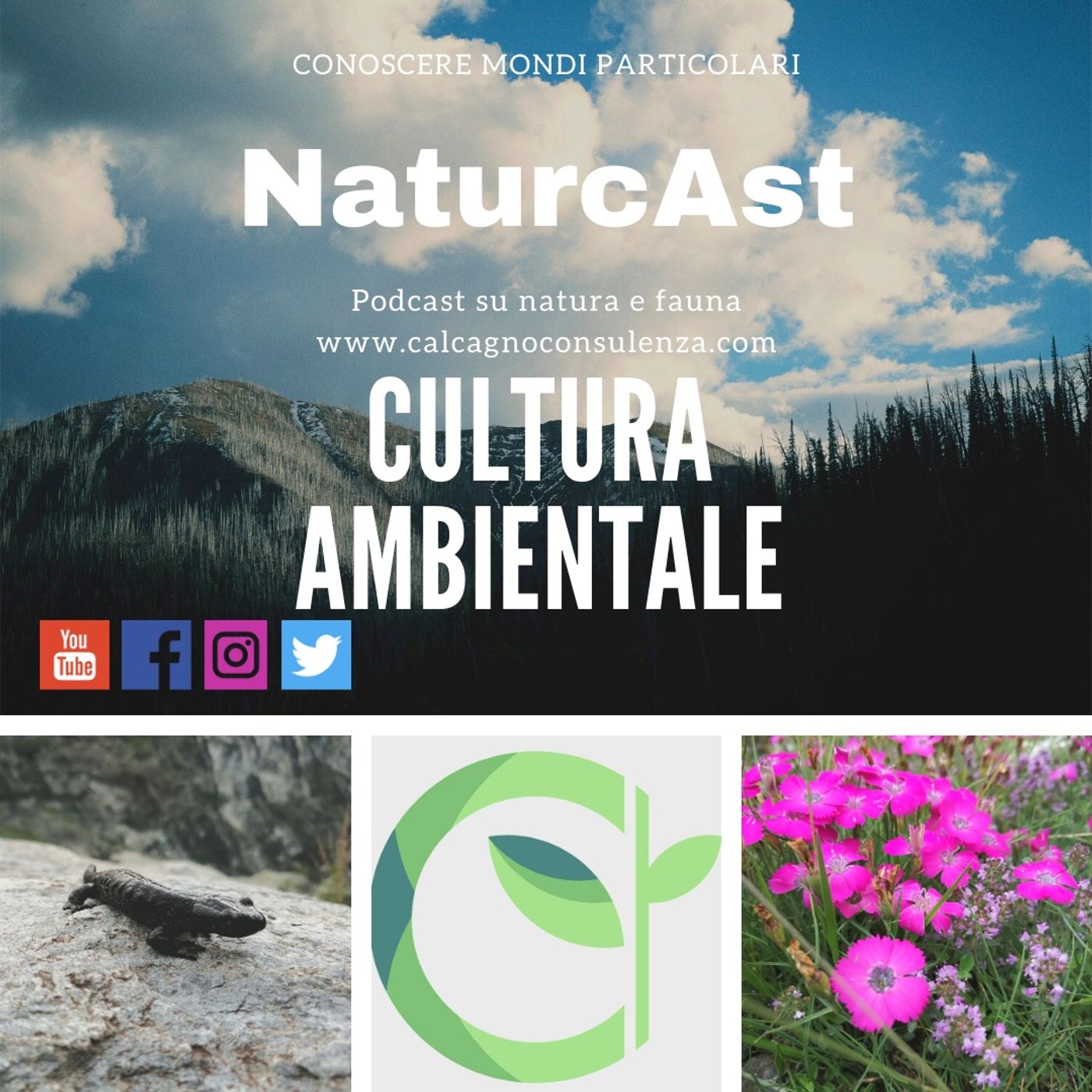 NaturcAst