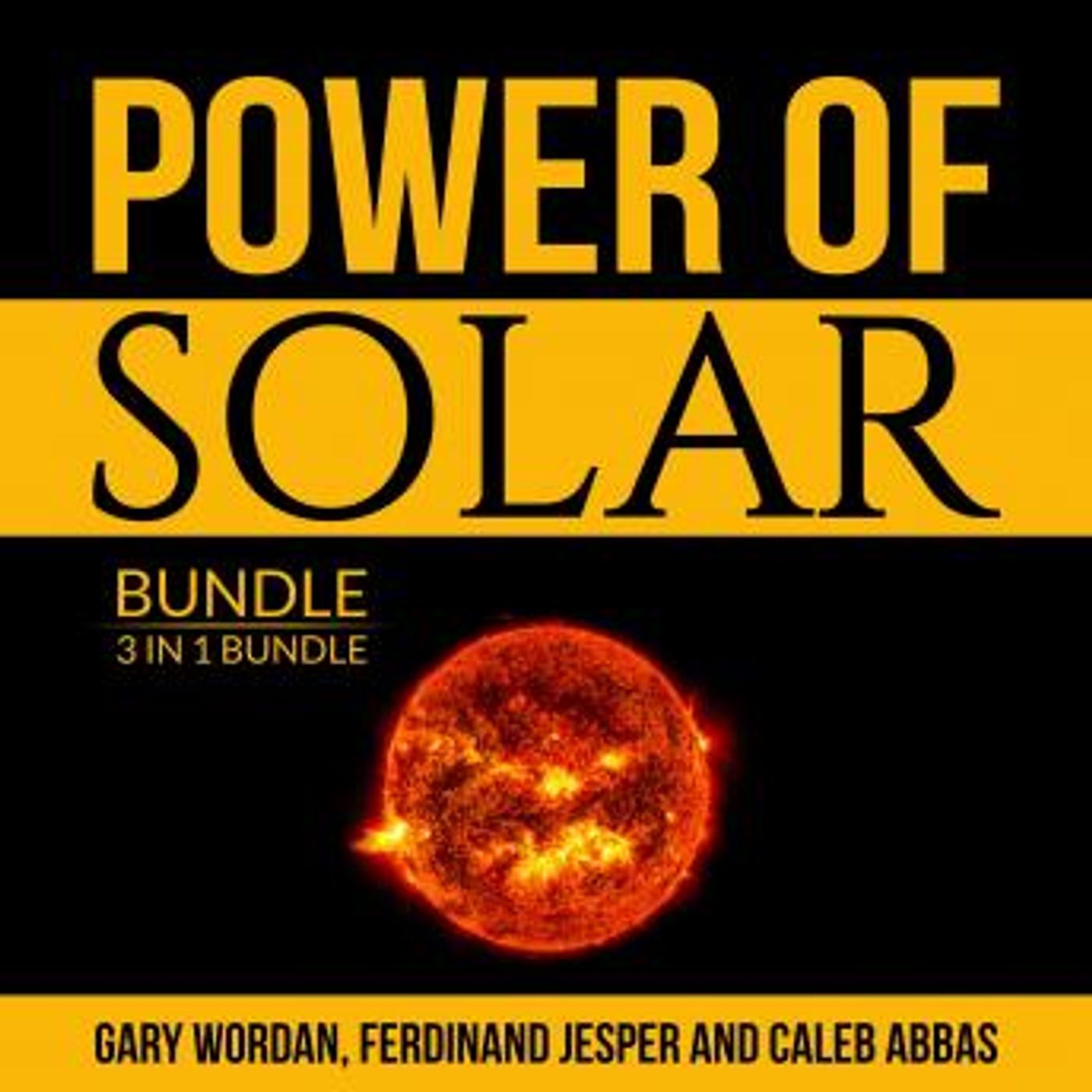 Access Must-Have Full Audiobooks in Non-Fiction, Computers & Technology