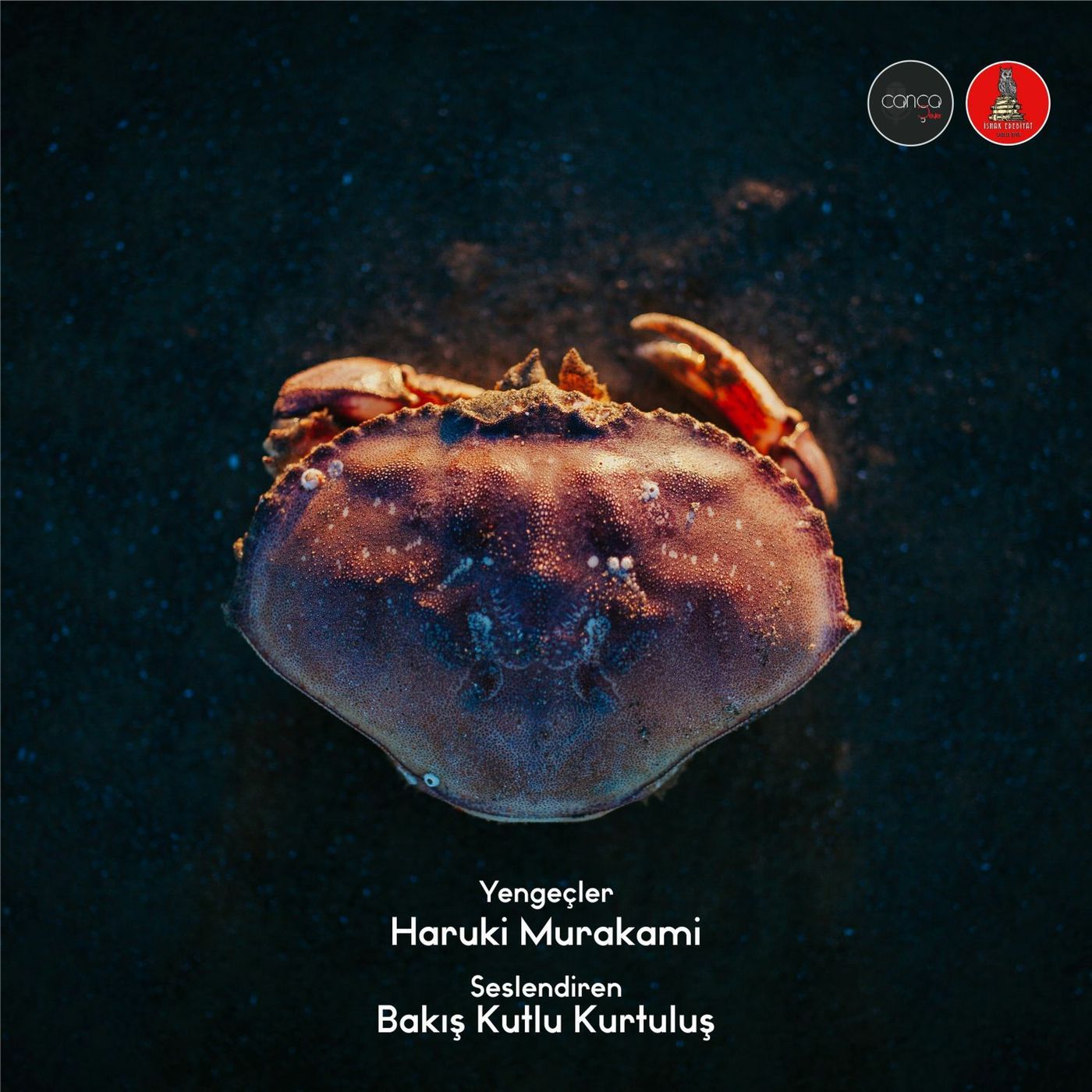 Öykü | Haruki Murakami - Yengeçler episode artwork