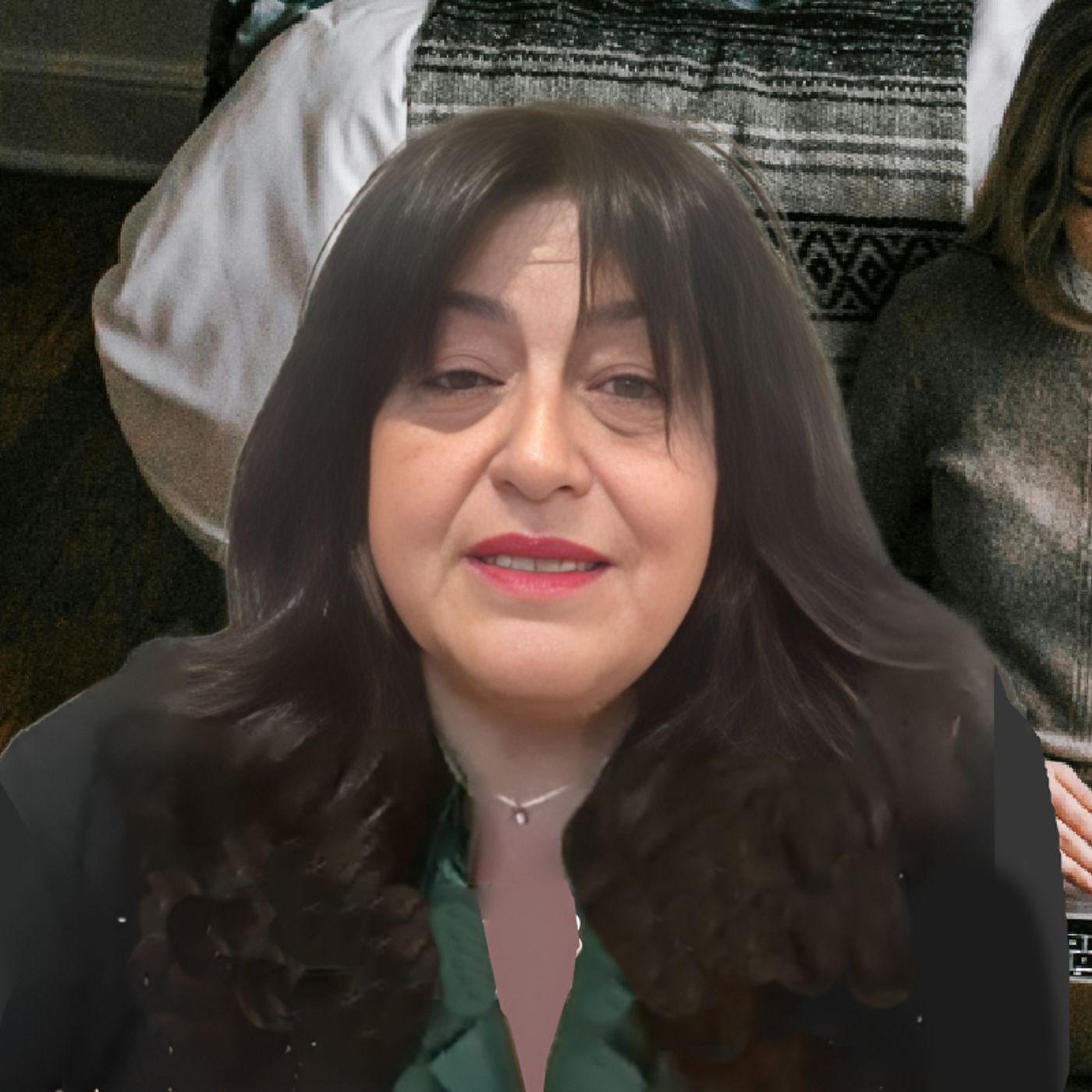 Guida: «Progetti di Rete per aiutare gli Hikikomori» episode artwork