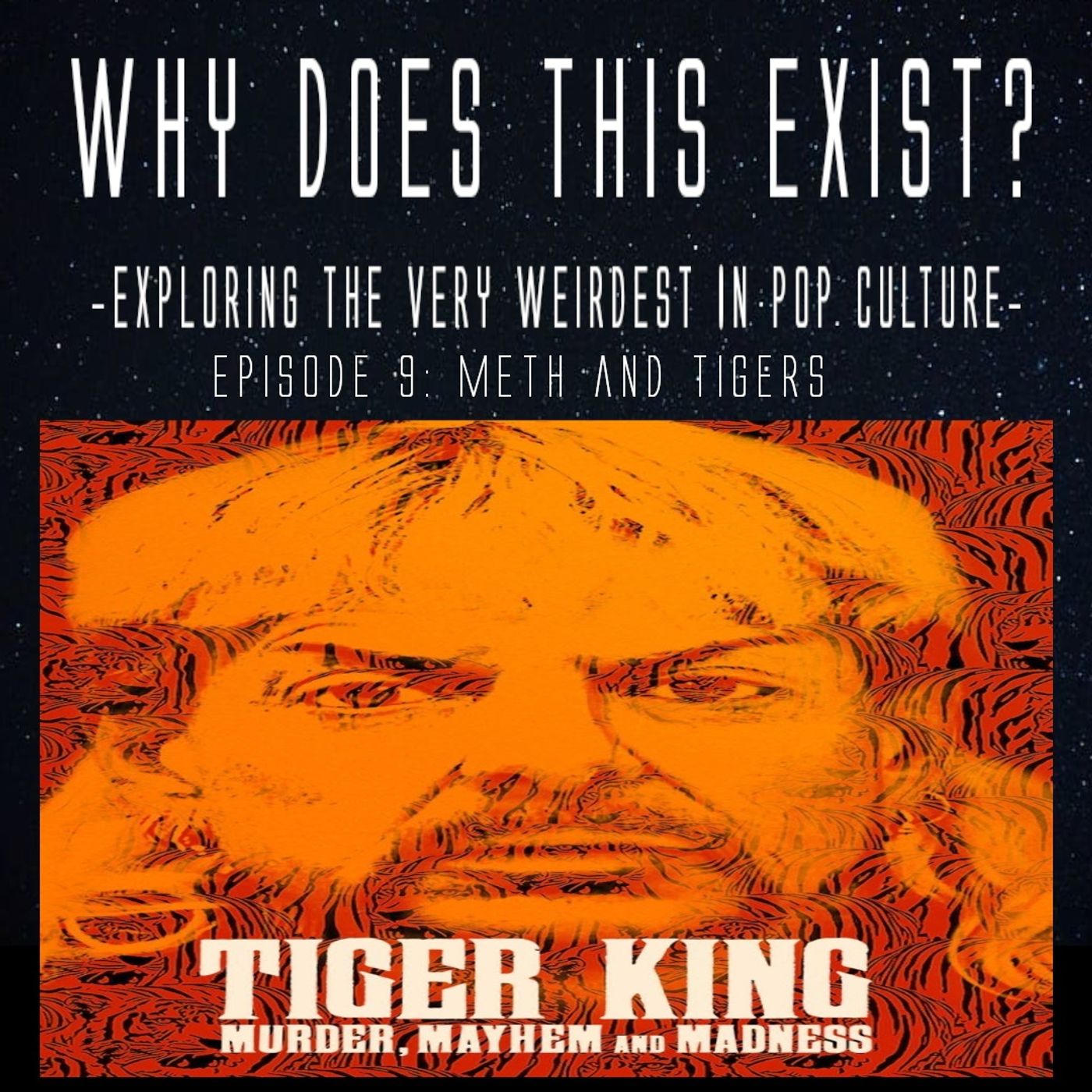 Episode 9: Meth and Tigers (Tiger King) episode artwork