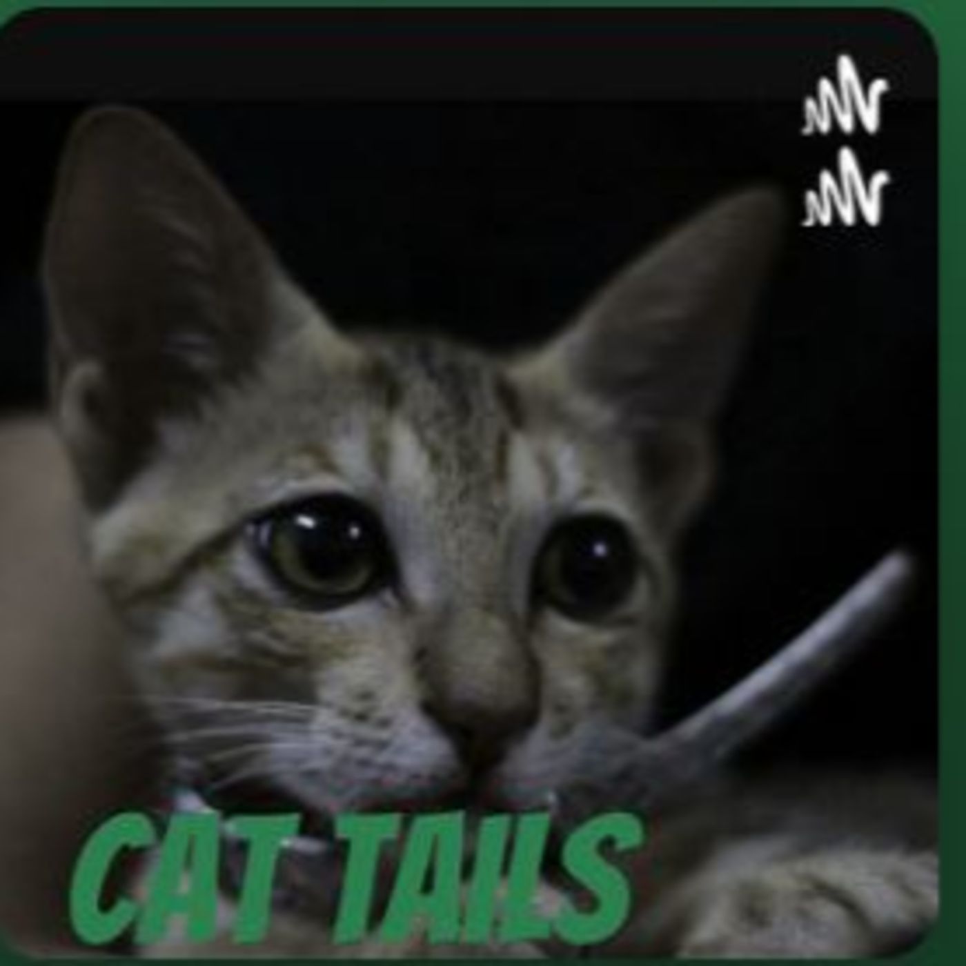 Cat Tails