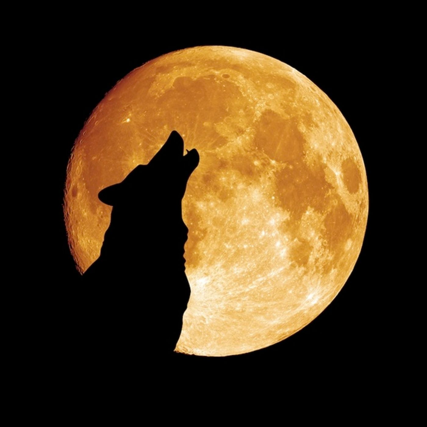 full moon ghost hunts